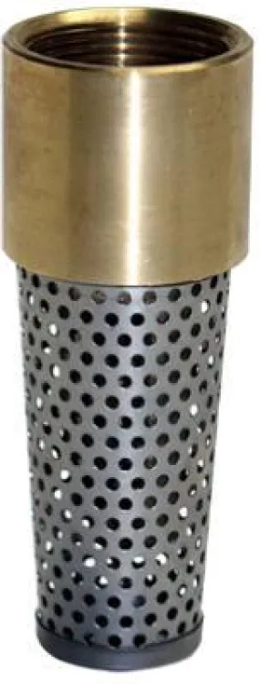 1" BRS Foot Valve