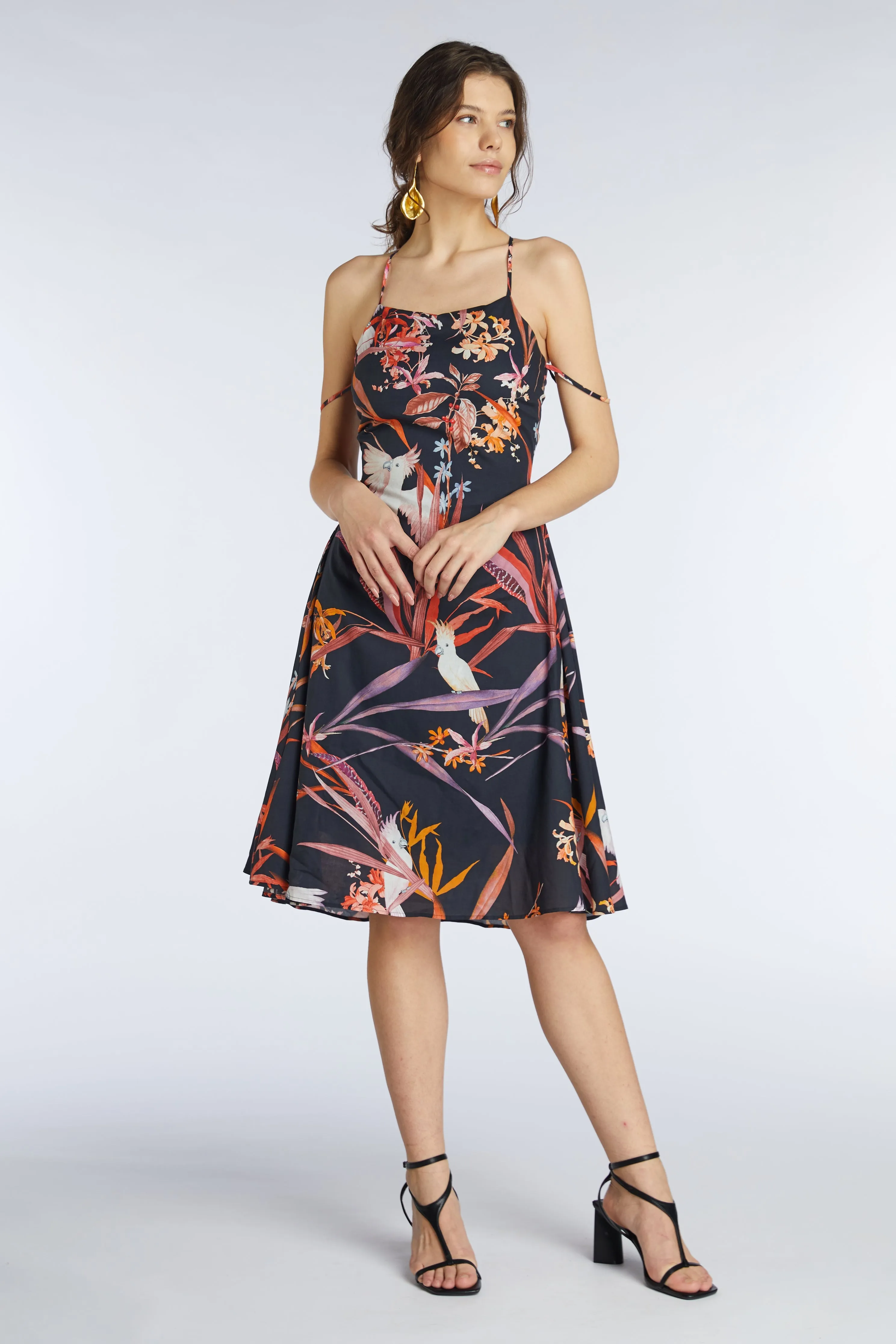 ARACARI Dress